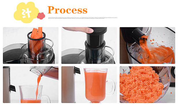 Factory Price Juicer Presser Carrot Juicer Machine Juice Extractor Stainless Steel Vertical Masticating Slow Juicer